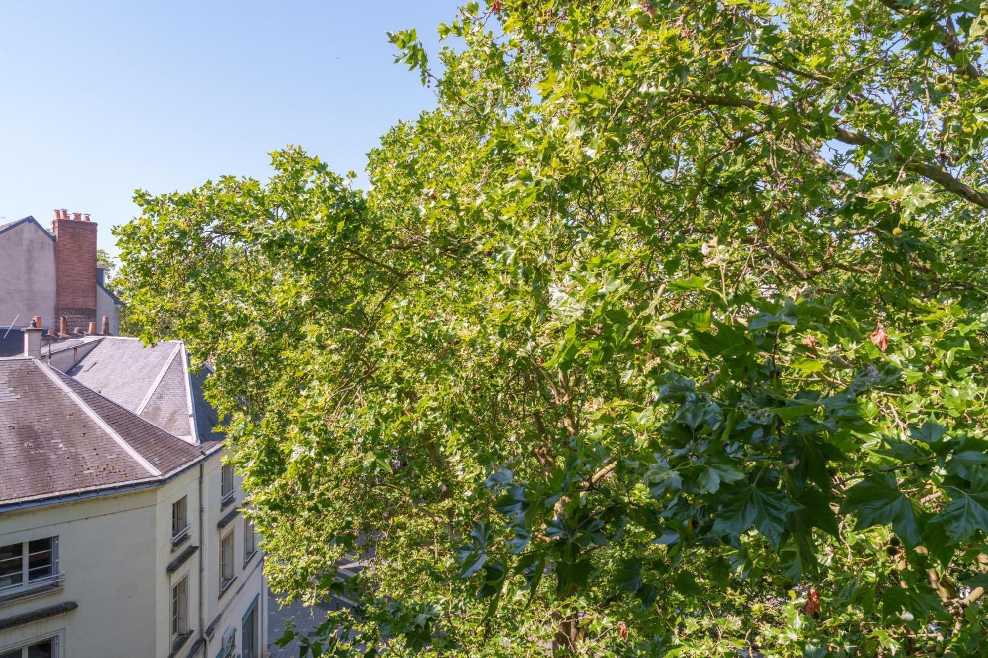 Appartement Tours Centre Avec Parking 4 P Bagian luar foto